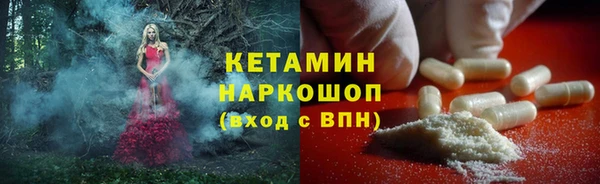 крисы Абаза