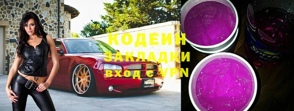 хмурый Алзамай