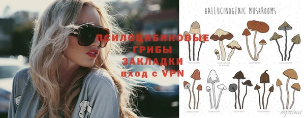 крисы Абаза