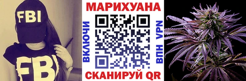 Каннабис OG Kush Ярославль
